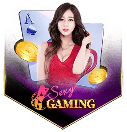 เว็บตรง แตกง่าย pg slot